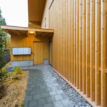 Brunnhorn Eg Nordost By Interhome Appartement Zweisimmen